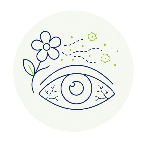 icono ojo conjuntivitis
