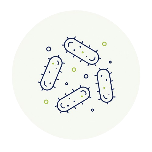 icono bacteria