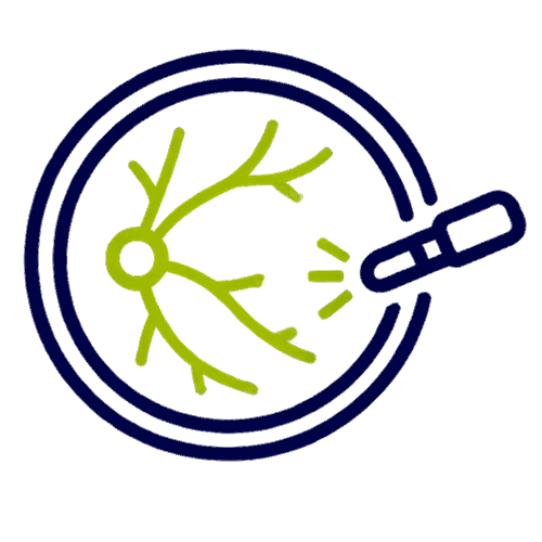 icono fondo de ojo