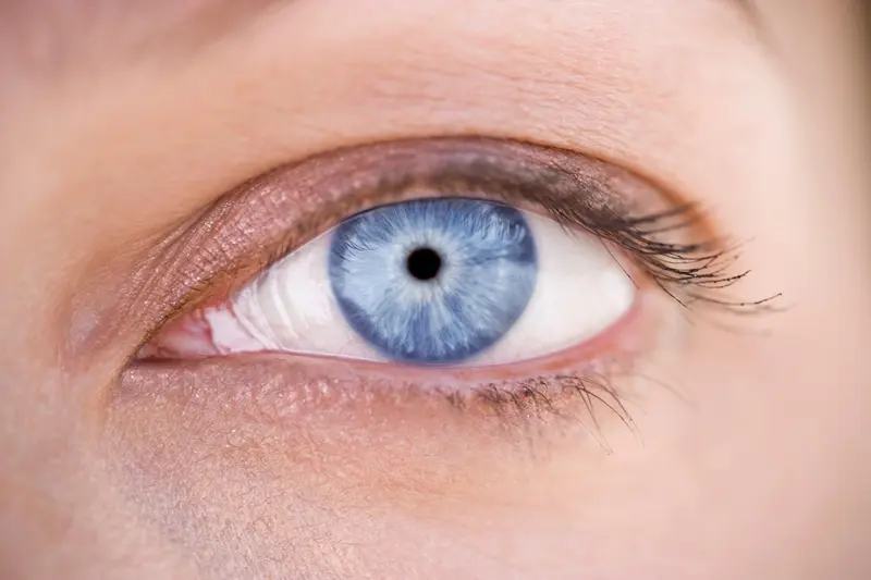 Detalle de un ojo humano